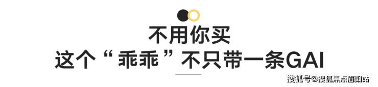 成都安仁古镇合院 成都院坝【售楼中心】-楼盘详情-房产首页网站(图6)